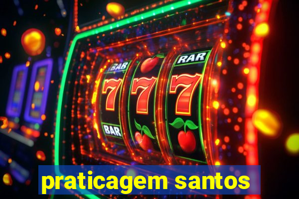 praticagem santos